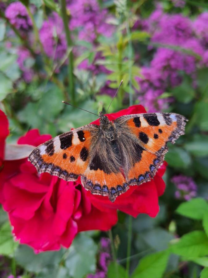 La Parenthese Bed & Breakfast Saint-Genix-sur-Guiers ภายนอก รูปภาพ