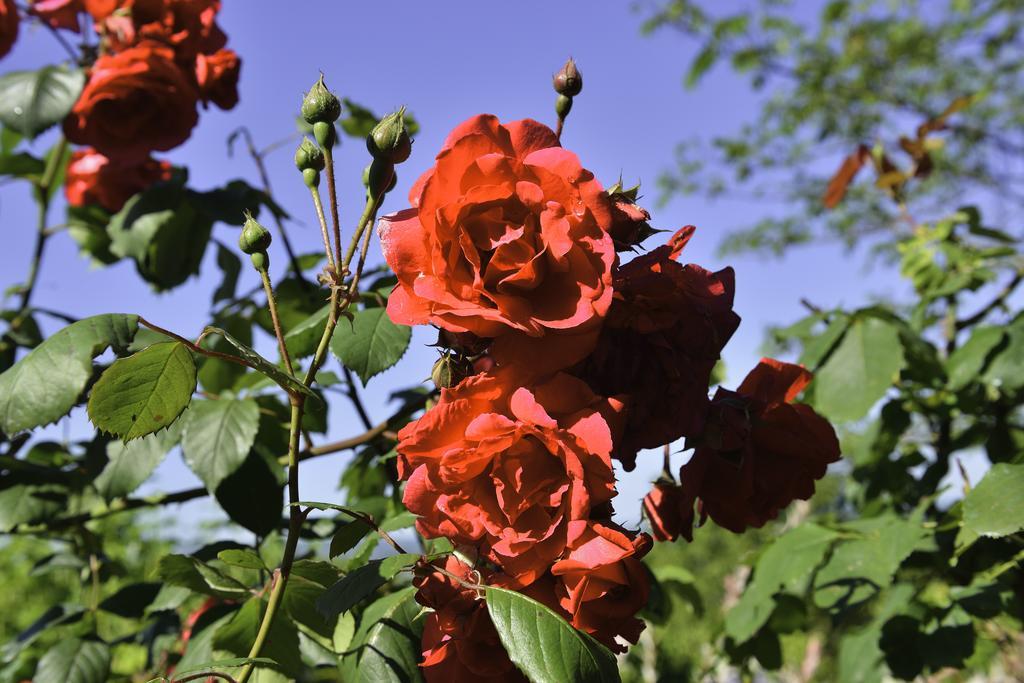 La Parenthese Bed & Breakfast Saint-Genix-sur-Guiers ภายนอก รูปภาพ